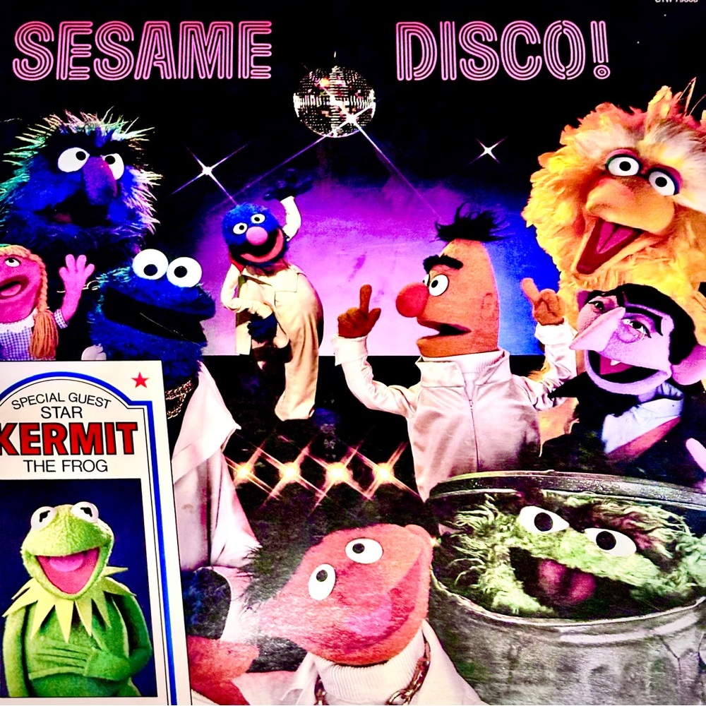 1979 SESAME DISCO 🪩 RARE 🪩 VINYL RECORD 🪩 collectible